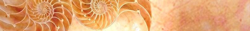 baner8