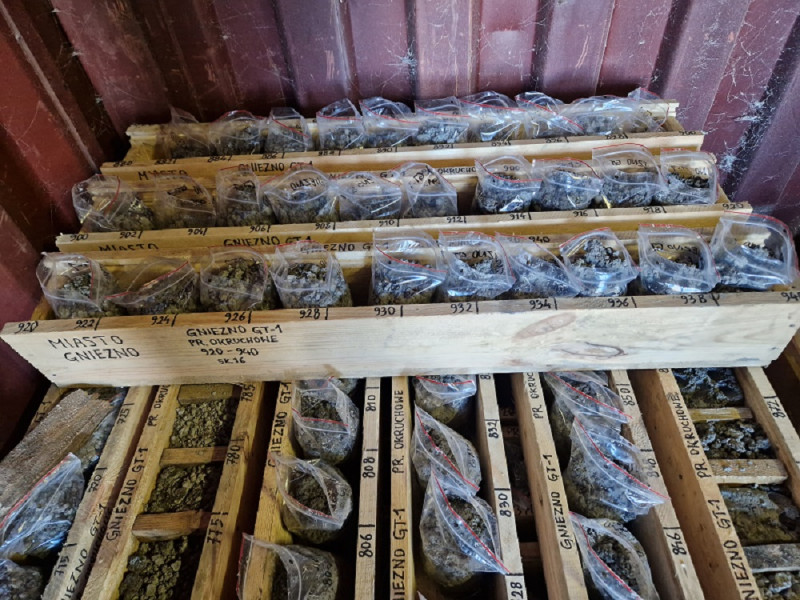 Próbki skał pobrane z odwiertu Gniezno GT-1