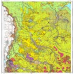 grafika ilustracyjna