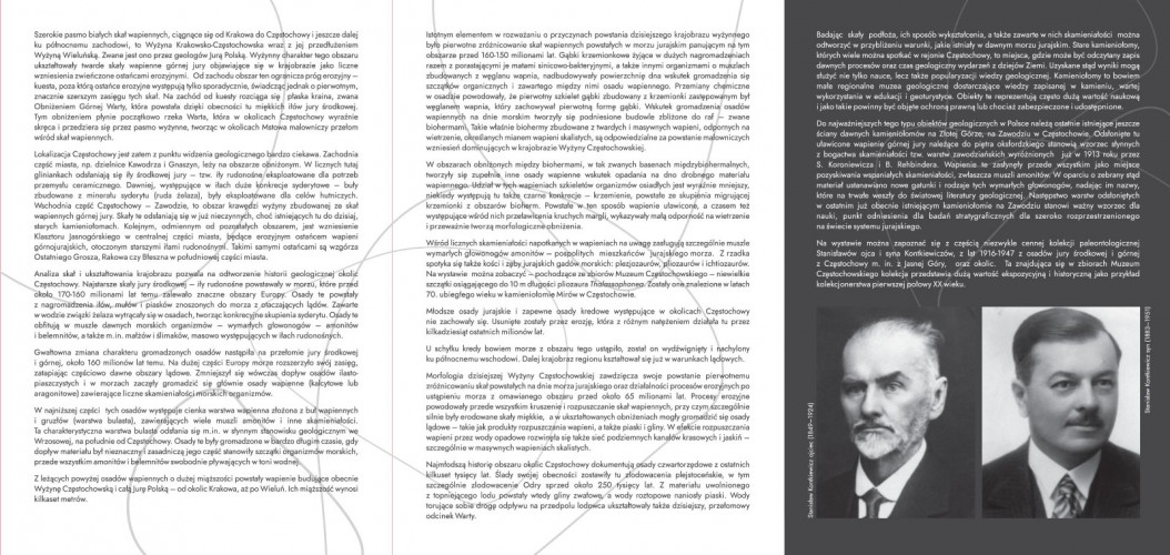 Jurajskie skamieniałości