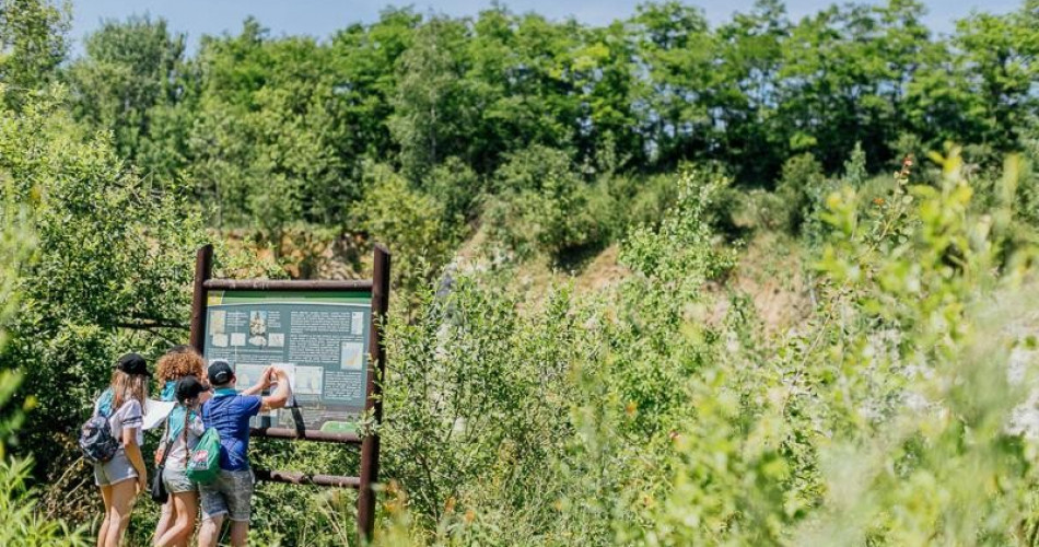 Dzień Bioróżnorodności 2019