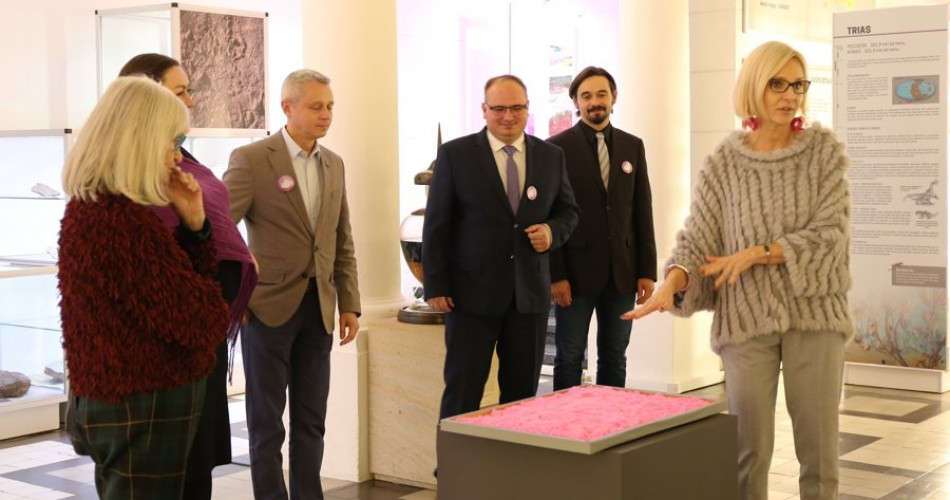 Triasowy Park Wiórajski