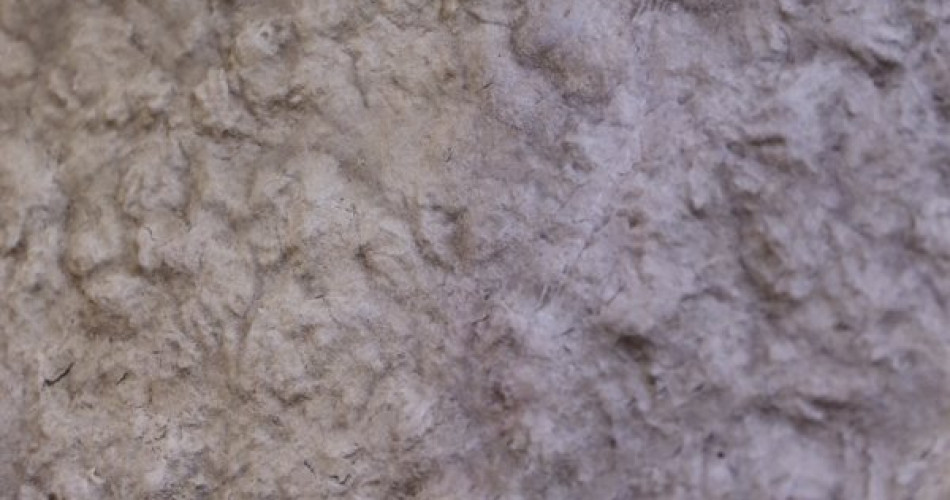 Triasowy Park Wiórajski