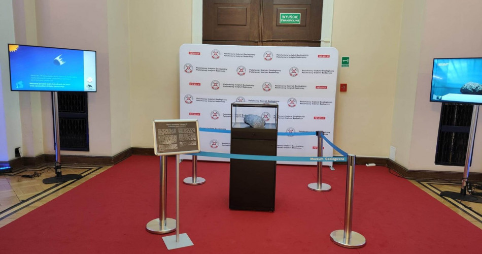 Baszkówka na wystawie