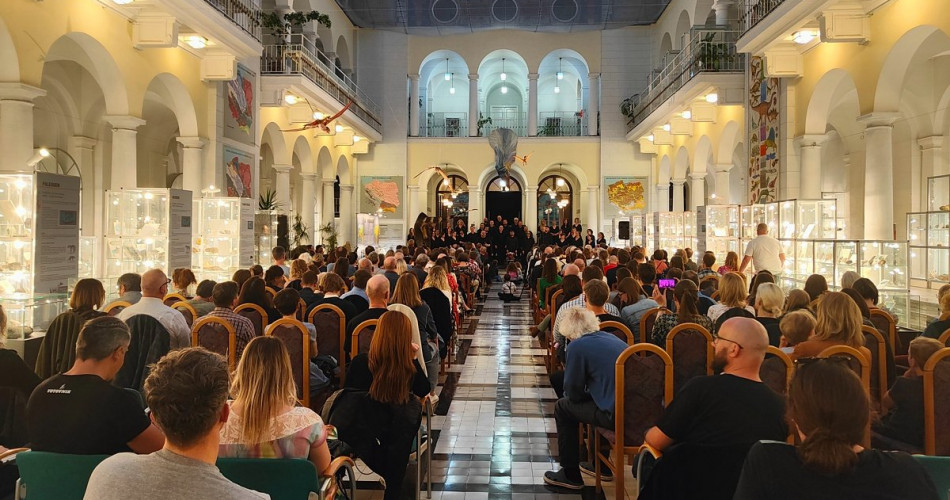 Koncert Korzenie i echa