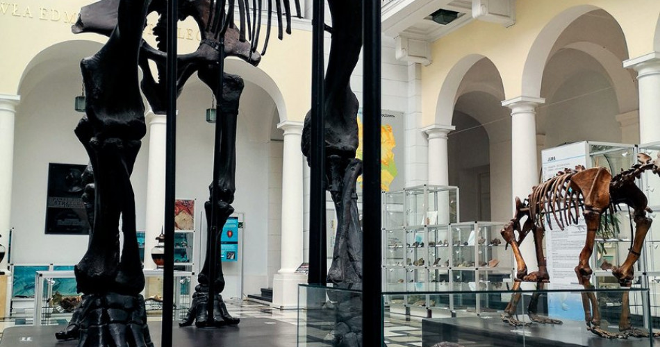 100. rocznica urodzin Papcia Chmiela