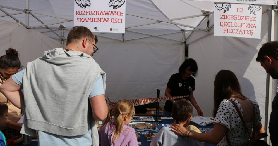 Rozpoznawanie skamieniałości