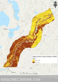 12. NASŁONECZNIENIE DSM