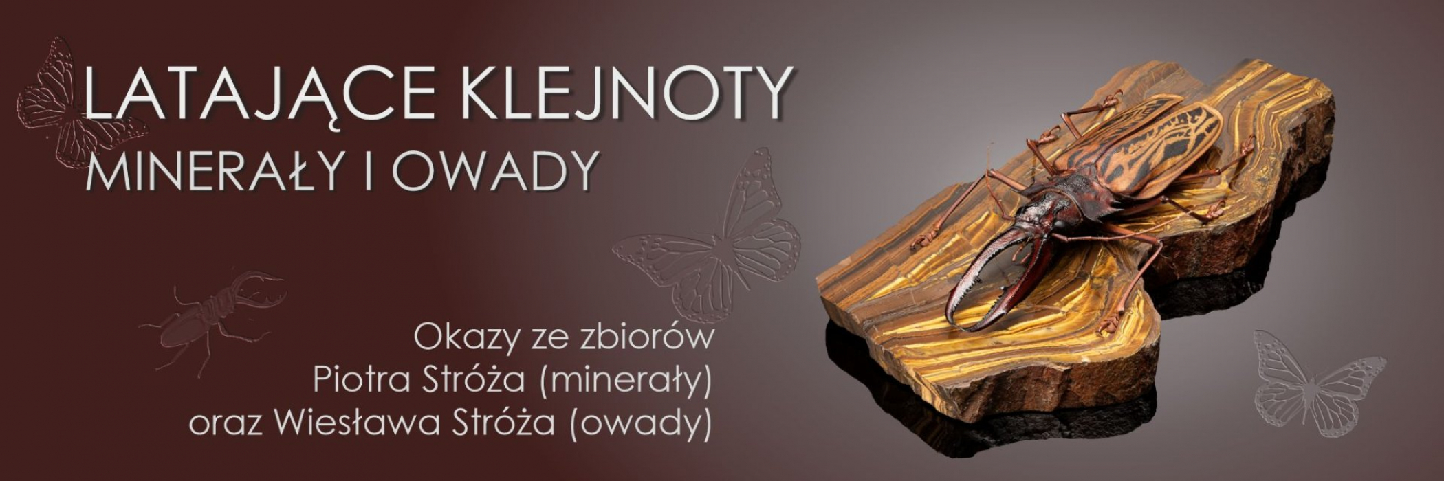 Latające klejnoty