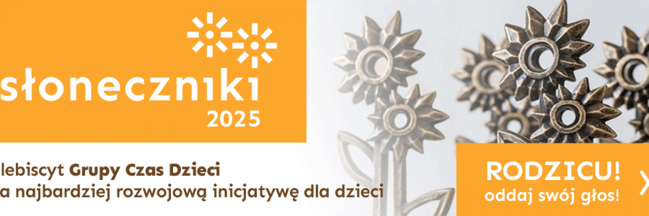 Słoneczniki 2025