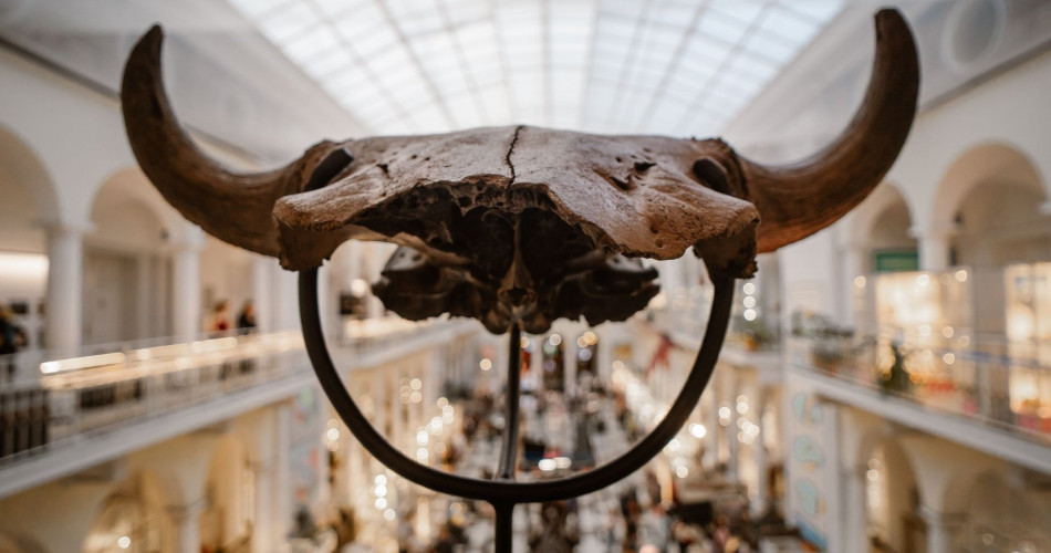 Noc muzeów-64_mały