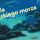 Oferta wystawiennicza - Amonity 01