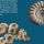 Oferta wystawiennicza - Amonity 03
