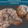 Oferta wystawiennicza - Amonity 06