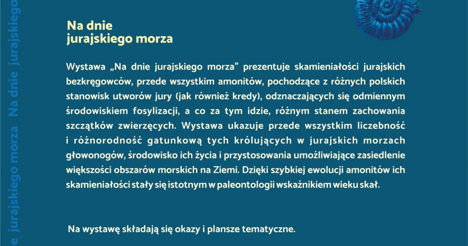 Oferta wystawiennicza - Amonity 02