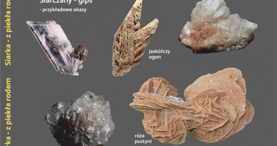 Oferta wystawiennicza - Siarka 06