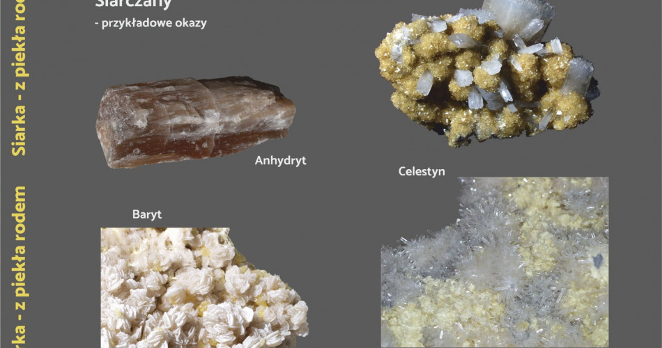 Oferta wystawiennicza - Siarka 07