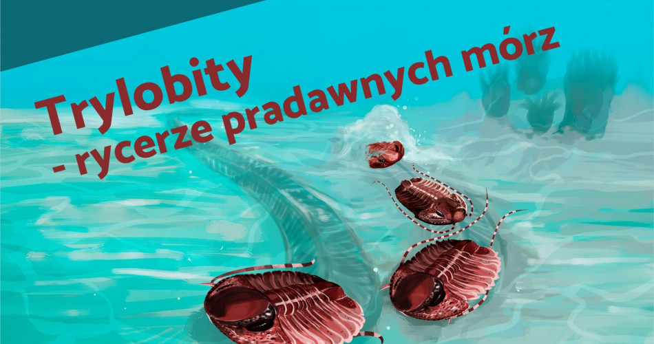Oferta wystawiennicza - Trylobity 01