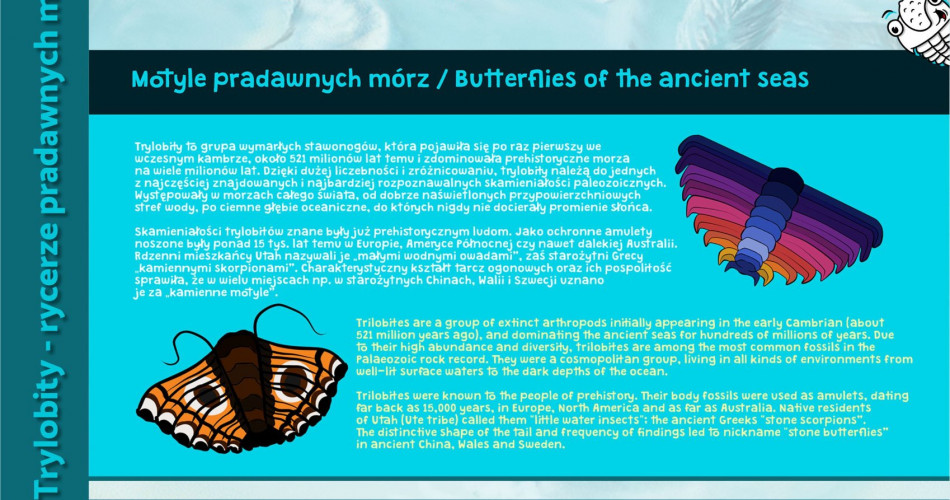 Oferta wystawiennicza - Trylobity 03