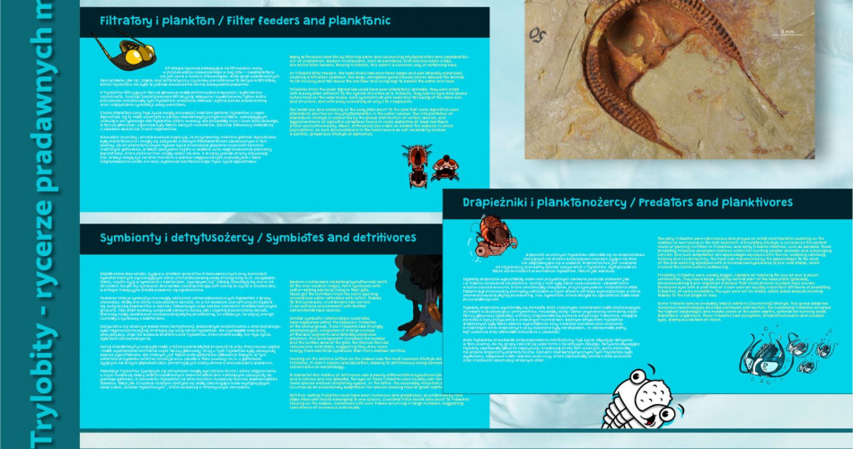 Oferta wystawiennicza - Trylobity 07