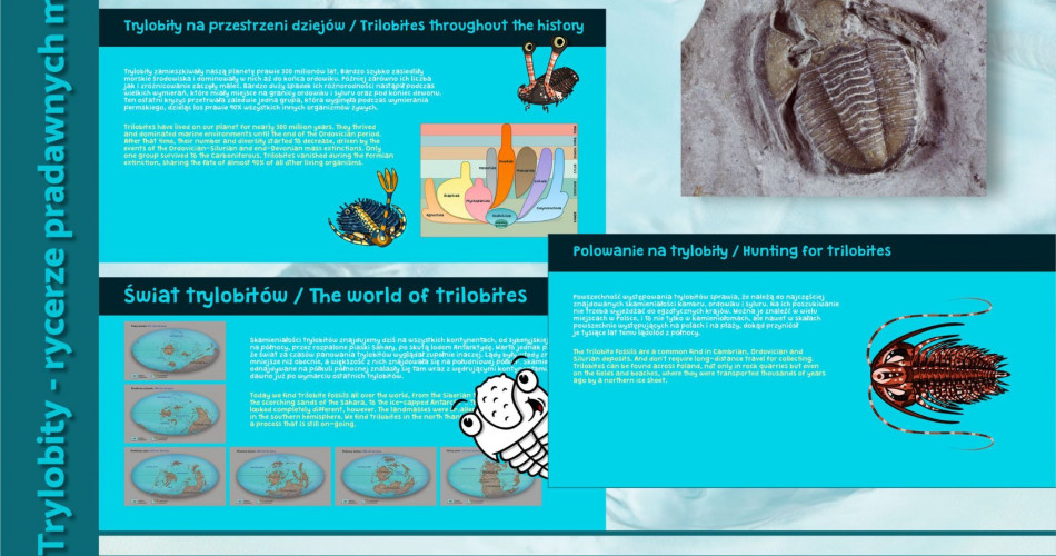 Oferta wystawiennicza - Trylobity 08