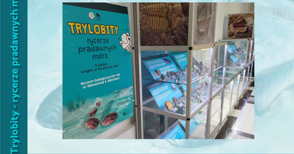 Oferta wystawiennicza - Trylobity 12