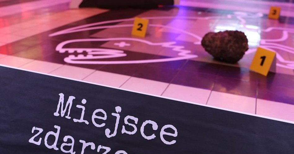 Wielkie wymierania - geolog na miejscu zdarzenia