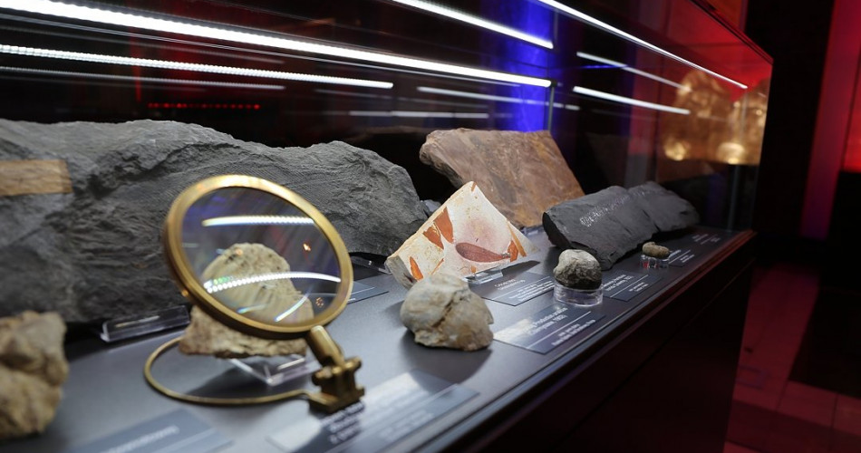 Wielkie wymierania - geolog na miejscu zdarzenia