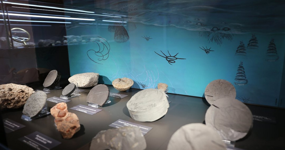 Wielkie wymierania - geolog na miejscu zdarzenia