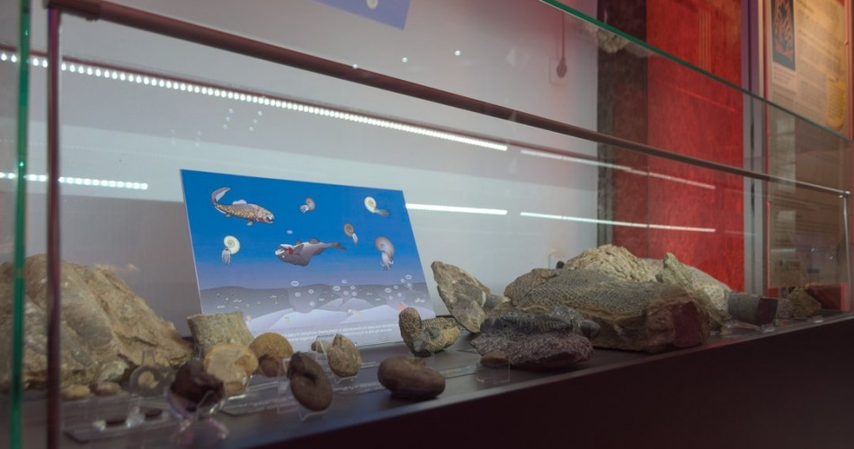 Wielkie wymierania - geolog na miejscu zdarzenia