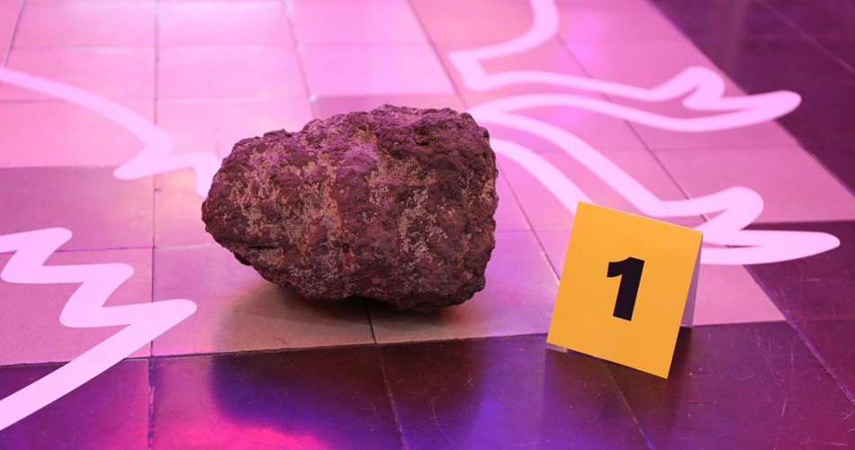 Wielkie wymierania - geolog na miejscu zdarzenia