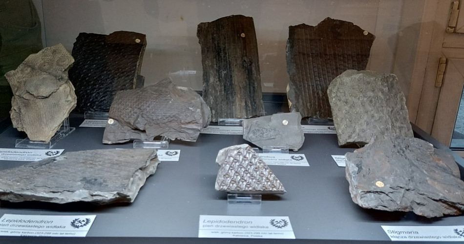 Barbórka dla dzieci 2024