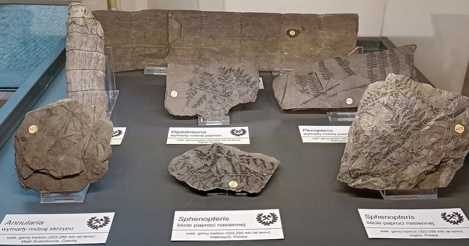 Barbórka dla dzieci 2024