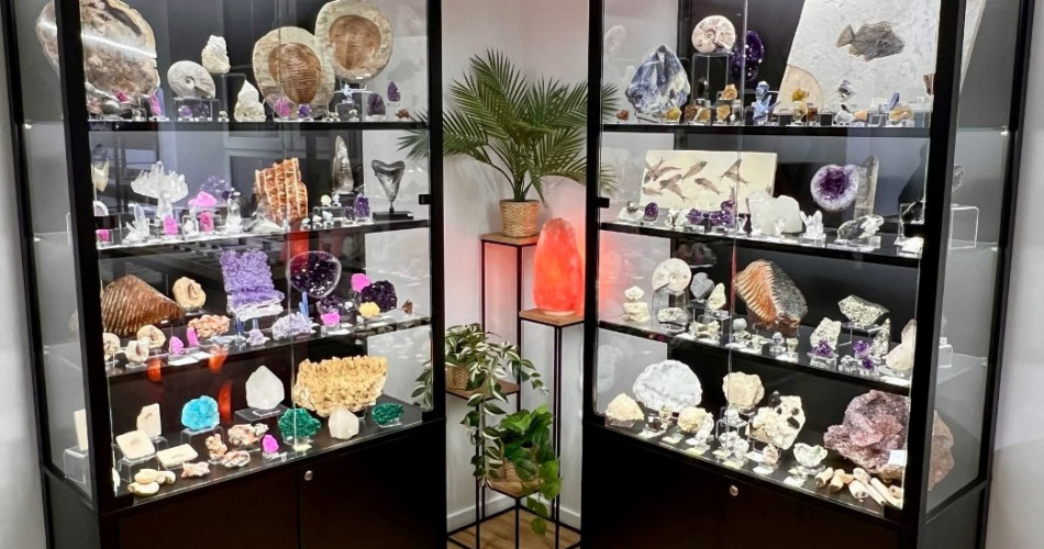 LAVA – sklep przy Muzeum Geologicznym w Warszawie