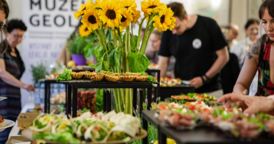 Gala Finałowa DINOSAURS. Still alive?