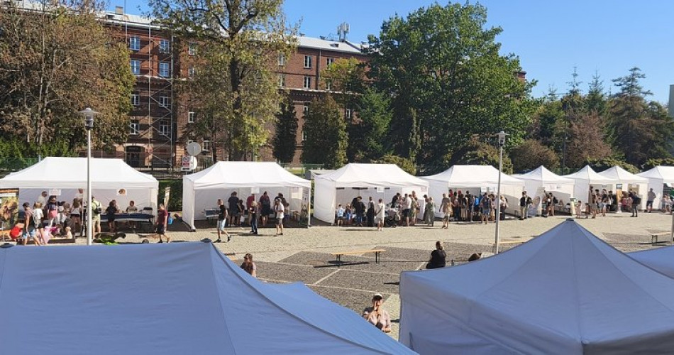 Piknik popularnonaukowy przy Muzeum Geologicznym