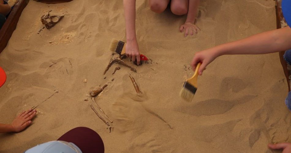 Paleontologiczne wykopaliska