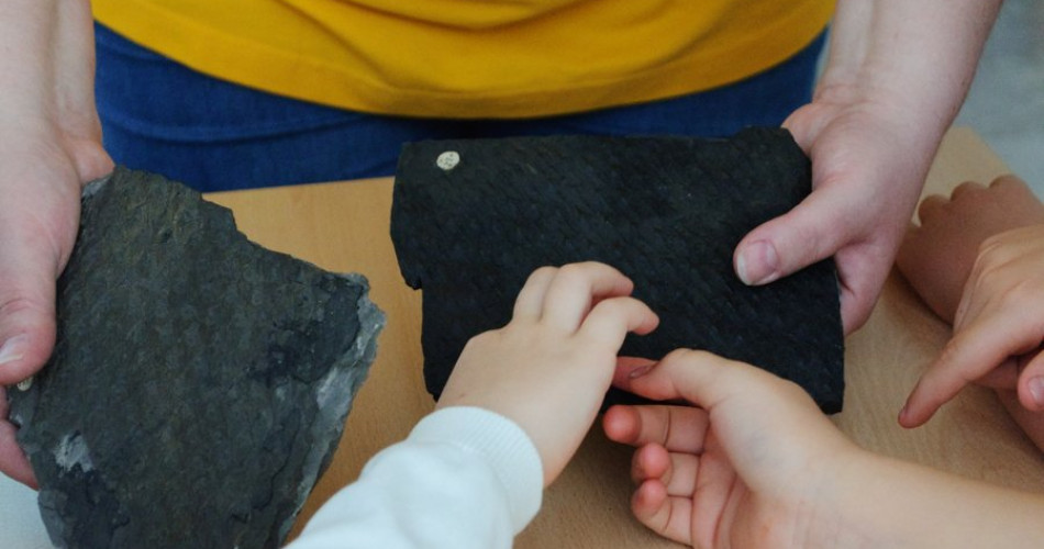 Lekcja Tajemnice karbońskiego lasu