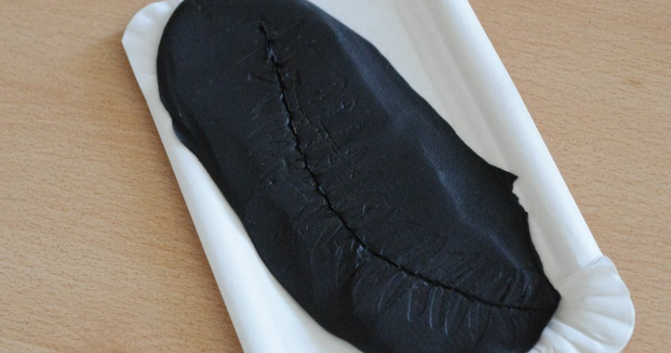 Lekcja Tajemnice karbońskiego lasu