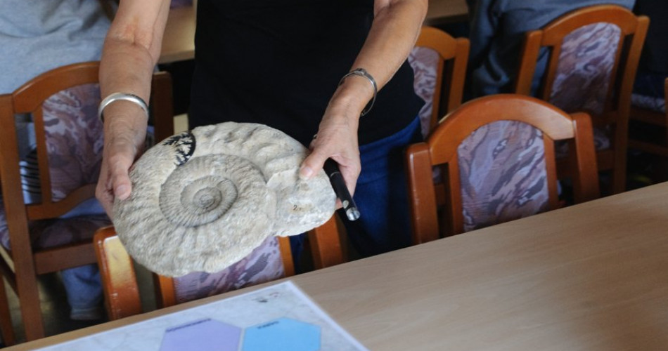 Lekcja Jak powstają i dlaczego badamy skamieniałości