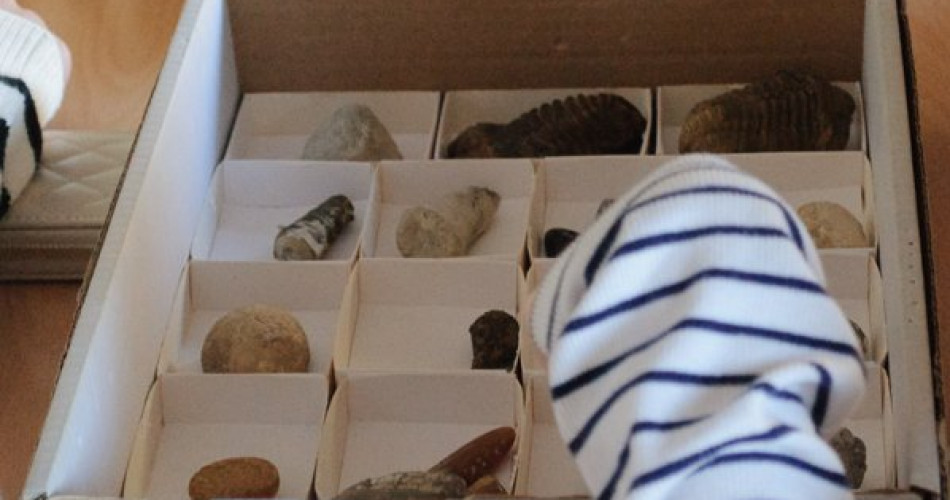 Lekcja Jak powstają i dlaczego badamy skamieniałości