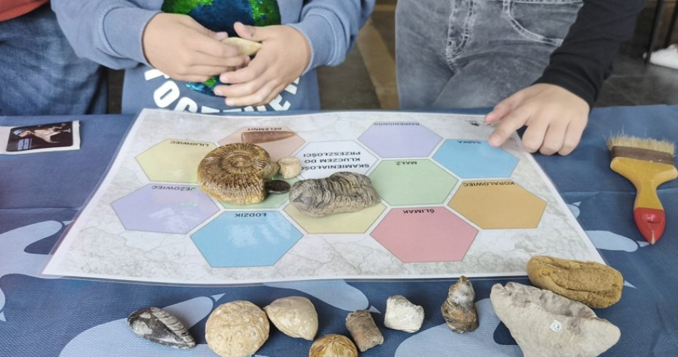 Piknik GeoLove - rozpoznawanie skamieniałości