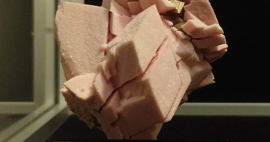 14 Pod stopami bogów