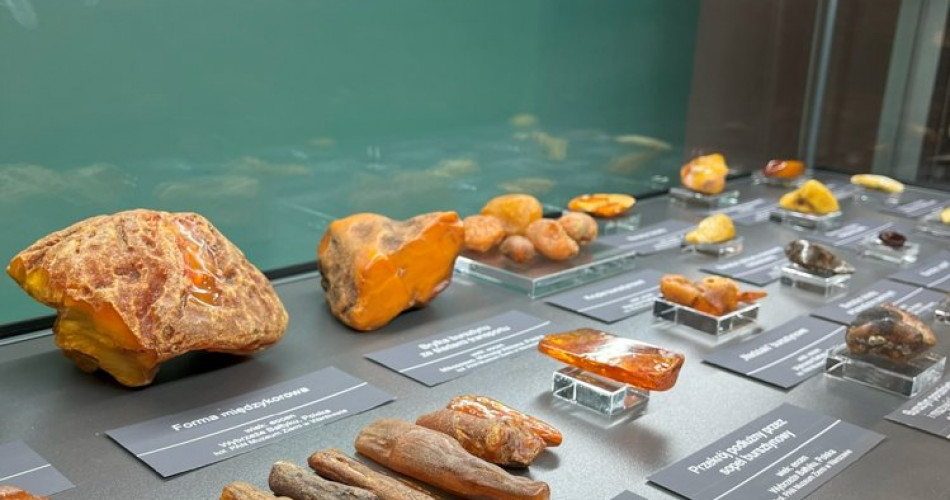 Wystawa Bałtyk - najsłodsze morze świata