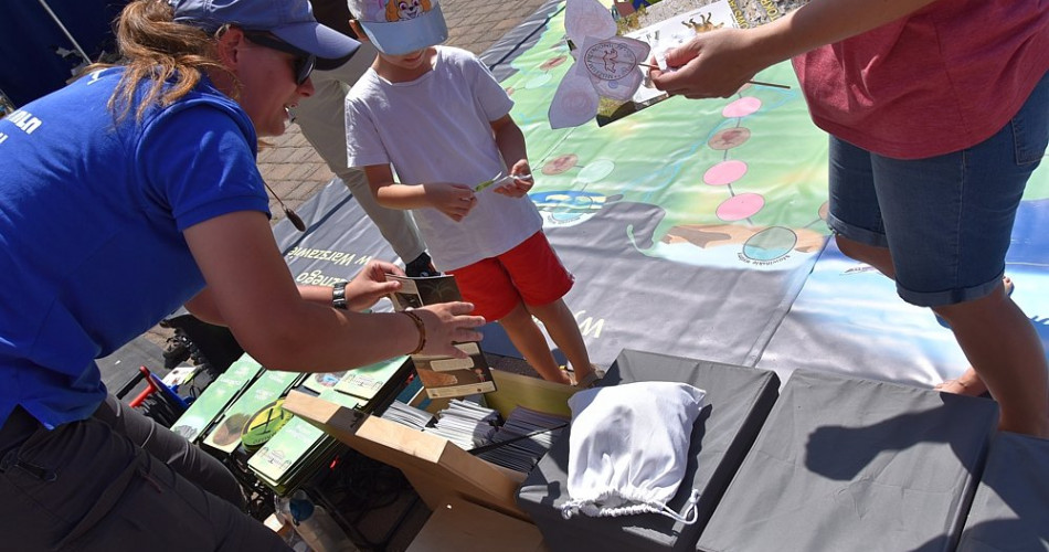 Sudecki Festiwal Minerałów 2025