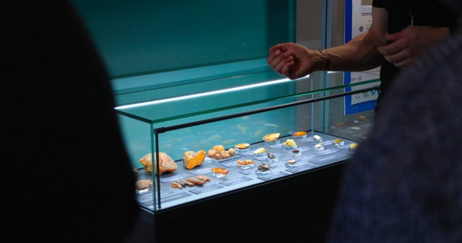 Dzień Ochrony Bałtyku