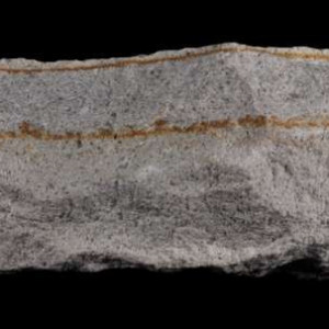 Piaskowiec ciężkowicki