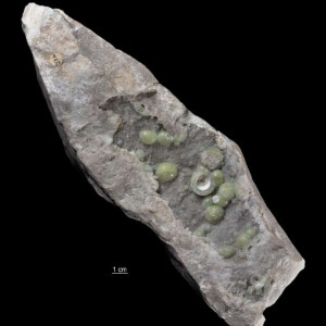 Piaskowiec kwarcytowy z wawelitem