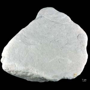 Piaskowiec drobnoziarnisty