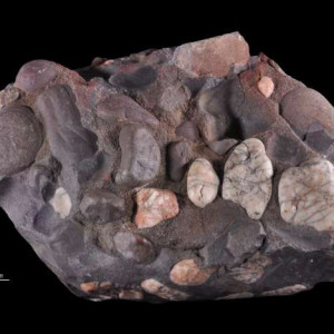 Zlepieniec żelazisty